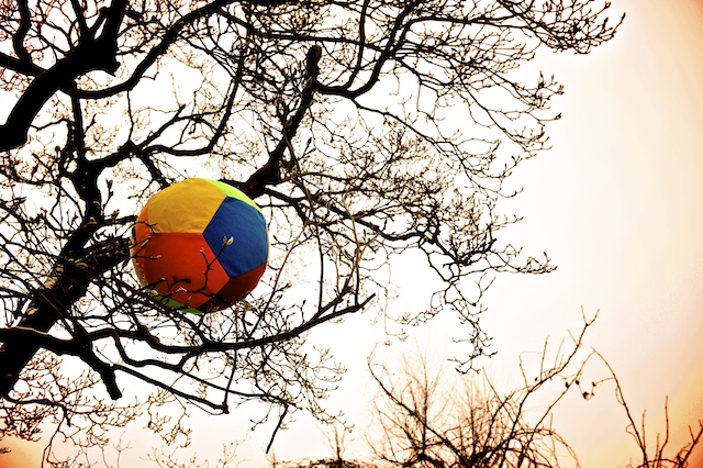 Bontebal 1952-2012