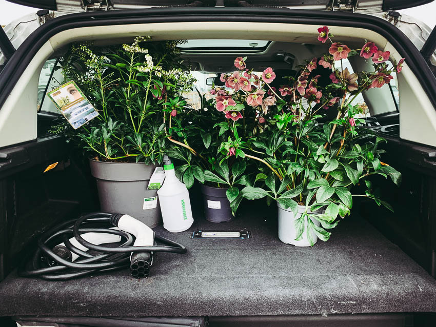 voortuinplanten