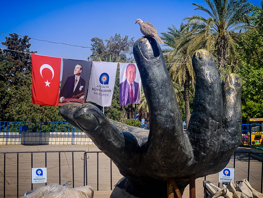 duif op hand in Turkije