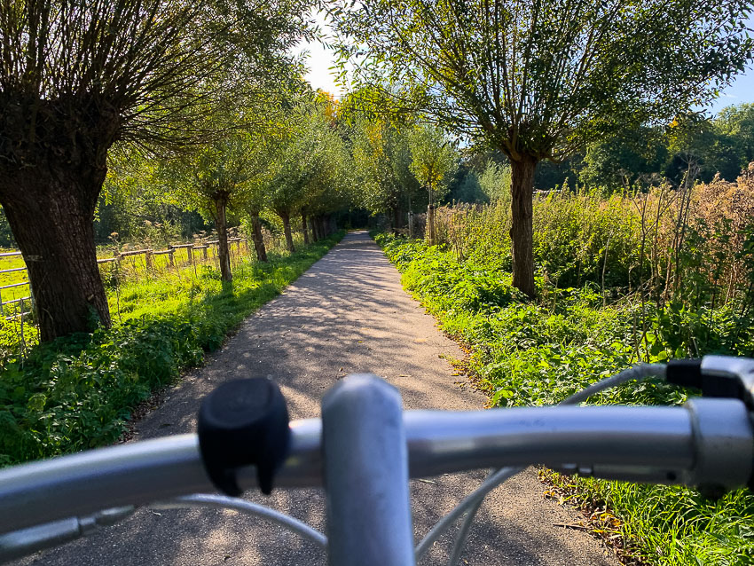 wilgenpad Elsenburgerbos