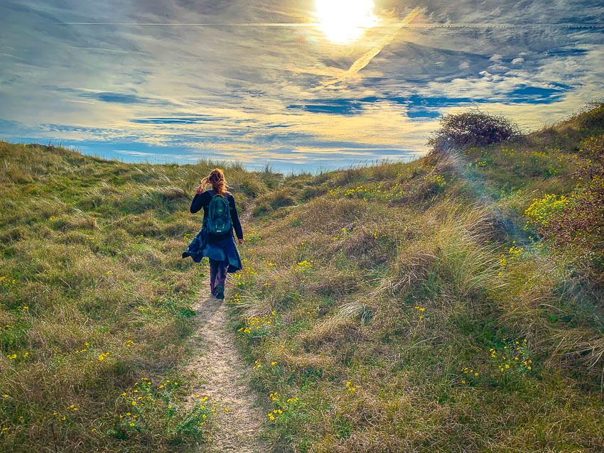 duingebied Solleveld