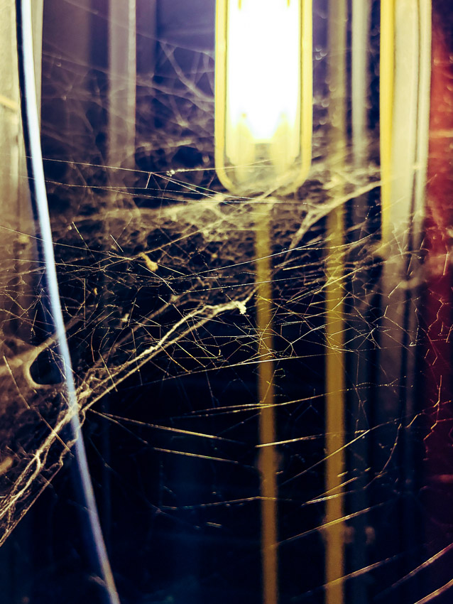 lamp met spinnenweb